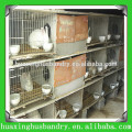 Китай завод высокого качества использовали кроличьи клетки для продажи / цепные звенья ограждения птиц клетка / большие животные клетки для продажи